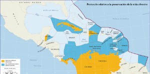 07-06E-4_Protoc-viesauv_ES